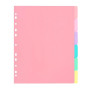 Viquel - Lot de 6 intercalaires en plastique Rainbow Pastel - Maxi format (24,5x30,5cm) - Pour classeur A4 Maxi format ou classe