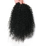 ROSESSEA Extension de queue de cheval afro - américaine bouclée cheveux courts en queue de cheval afro - américaine (12 Inch, 1B
