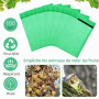 100 Pièces Sachet Protection Raisin: 20x30cm Sac de Protection Fruits | Sachet Protection Fruits pour Potéger Les Grappes de Rai