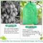 100 Pièces Sachet Protection Raisin: 20x30cm Sac de Protection Fruits | Sachet Protection Fruits pour Potéger Les Grappes de Rai