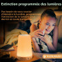 Lot de 2 Lampe de Chevet avec minuterie LED Bedside Lamps avec 13 couleurs 3 modes Lampe de Bureau LED Rechargeable par USB avec