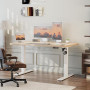 JUMMICO Bureau Assis-Debout Électrique 120x60cm, USB & 2 Mémoires, Beige | Moteur Silencieux, Surface Anti-Rayures, Structure Mé