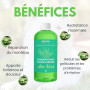 Plantawa Shampooing pour Chien à l'Aloe Vera 1L | Shampooing pour Chien pour Peau Sensible et Dermatite | Action Anti-Irritation