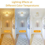 Stepeak Doré Plafonnier Salon Cristal avec Abat-jour en Verre - Lustre Moderne pour Chambre, Salle à Manger, Couloir, Cuisine