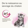BEAPHAR – LACTOL – Lait maternisé pour Chaton en Poudre – Enrichi en DHA – Source de protéines de Haute qualité – pour Chaton No