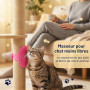 PYRUVAE 4 Pièces Brosse pour Chat Auto-Toilettage, Grattoir Chat Mural et pour Pieds de Table, Masseur pour Chat, Accessoire Cha
