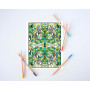 Coloriage Adulte: Coloriage par numéros - mandalas et motifs