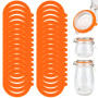 Lot de 30 Joint Bocaux En Silicone, 69 x 92 mm Interchangeables Joints de Bocal, Caoutchouc Bocaux Pour Couvercle à Pince En Ver
