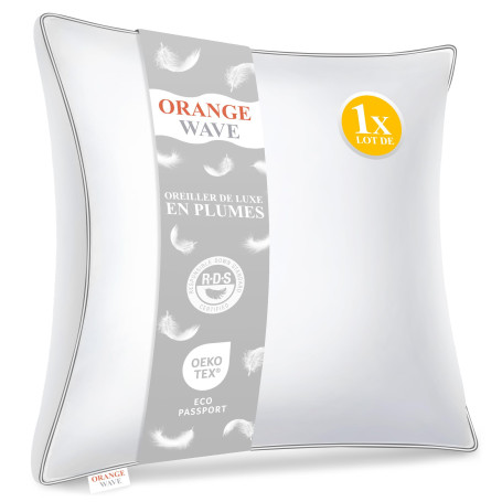 Oreiller 60x60 Plumes et Duvet Confort Oreillers Hôtel Coussin de Sommeil | Oreiller Plume 60x60, Coussins Hotellerie Luxe, Ergo