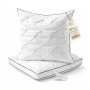 BPC Oreiller Plumes et Duvet d'oie 60x60 cm Lot de 2, 3 Chambres | 90% Duvet d'Oie en Chambres Extérieures | Housse 100% Coton B