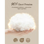 BPC Oreiller Plumes et Duvet d'oie 60x60 cm Lot de 2, 3 Chambres | 90% Duvet d'Oie en Chambres Extérieures | Housse 100% Coton B