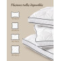 BPC Oreiller Plumes et Duvet d'oie 60x60 cm Lot de 2, 3 Chambres | 90% Duvet d'Oie en Chambres Extérieures | Housse 100% Coton B