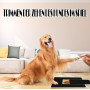 Cnwinu Ponceuse à griffes pour chien avec boîte à goûter, ponceuse à griffes pour chien avec 2 feuilles de rechange de papier ab