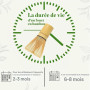 Alyvisun Fouet Matcha en Bambou 76 Brins pour la Cérémonie du Thé