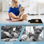 Cnwinu Ponceuse à griffes pour chien avec boîte à goûter, ponceuse à griffes pour chien avec 2 feuilles de rechange de papier ab