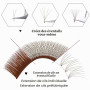 FADVAN Faux Cils Individuel Naturel - 4D W Marron Extension Cils Professionnel - D Curl Bouquet Prefait Volume Russe(0.07mm,8-14