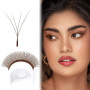 FADVAN Faux Cils Individuel Naturel - 4D W Marron Extension Cils Professionnel - D Curl Bouquet Prefait Volume Russe(0.07mm,8-14