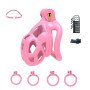 B2-Ceinture de chasteté Set de 4 cockrings Rose Sissy Sex Toy Cage de chasteté Cage de chasteté respirante avec Invisible Lock D