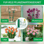 Tuteurs pour Plantes 115 Pièces avec 20 Tuteur Plante, 40 Tiges Plantes Clips,15 Tiges Tube d'extension, 1M Bande Velcro, Tuteur