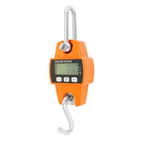 QWORK® balance suspendue numérique, 300kg, balance à grue numérique à crochet en aluminium, pour pesage au quai, matières premiè