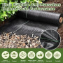LCGOD Toile de Paillage 1x30m Géotextile Tissé 100g/m² avec 50 Piquets | Haute Densité,Contre les Mauvaises Herbes, Perméable et