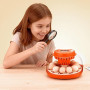 VEVOR Couveuse Œuf Automatique 12 Œufs de Poule Incubateur Œuf pour Éclosion Œufs de Volaille Poussins Canetons Oies Cailles, av