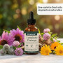 3 Pièce Drainant Lymphatique Goutte 59ML Drainage Lymphatique Corps Complet Mélanges à Base de Plantes Naturelles pour Femmes et