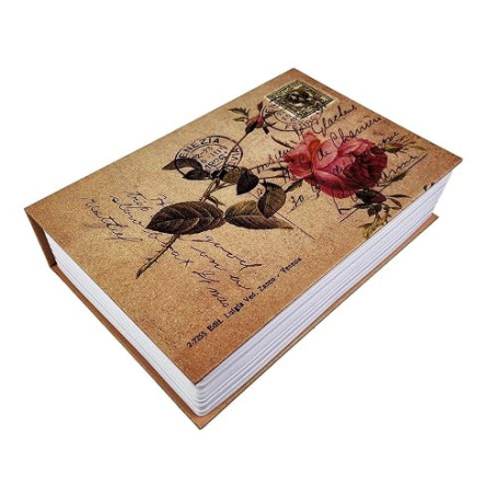 VELLUSTRA Coffre Fort en Forme de Livre, Boîte de Rangement de Livre avec Serrure à Combinaison, Secret Coffre Fort Caché, pour