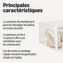 Amazon Basics - Lot de 12 boîtes de rangement empilables et pliables pour chaussures, taille L, Transparent