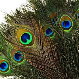 VoilaLove 25Pcs Plumes Naturelles de Paon avec des Yeux de Plumes de Queue de Paon pour la Fête de Mariage Arts and Crafts Home