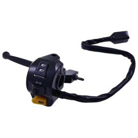 Unité de commutation – compatible avec Peugeot Speedfight 3 50 (AC/4T), Kisbee 50 (2T/4T), Streetzone 50, New Vivacity 50 4T