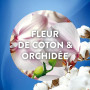 Air Wick Desodorisant Maison Recharge Diffuseur Electrique Fleur de Coton et Orchidée - 3 x 19 ML