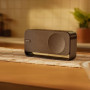 Bose Soundlink Home Enceinte, Premium, Enceinte d’étagère Portable, sans Fil et Bluetooth, Jusqu’à 9 Heures d’autonomie, Bois Ch