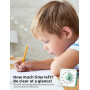 LIORQUE Minuteur Visuel 60 Minutes, Compte a Rebours Silencieux sans Tictac | Pause 3s, Sans Tictac, Alarme 3 Niveaux, Aimante,