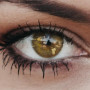 Glamlens lentilles de couleur marron naturelles colorées très haute opacité New York Mel + étuis à lentilles de contact I 1 pair