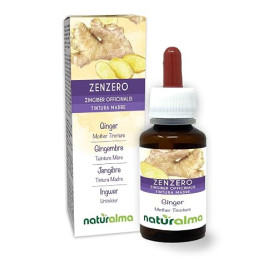 Gingembre (Zingiber officinalis) rhizomes Teinture Mère sans alcool Naturalma - Extrait liquide gouttes 60 ml - Complément alime