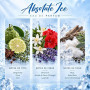 Atralia Absolute Ice Eau de parfum Parfum frais 100 ml | Bergamote, thym, anis, géranium, lavandin, fleur d'oranger et musc blan