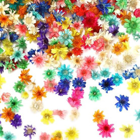 AUGSUN 420 Pcs Petites Fleurs Séchées pour l'Artisanat, Mini Fleurs Séchées Naturelles en Vrac pour DIY Nail Art, Fabrication de