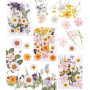 66 Pièces Fleurs Séchées Pressées Naturelles pour DIY et Décoration | Idéales pour albums photo, cartes, emballages cadeaux et c