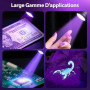 Lampe UV ongles gel 5W mini lampe UV LED ongles semi permanent portable avec pince et interrupteur pour résine et pose américain