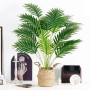 Der Rose Plantes Artificielles Interieur Palmier en Pot,71cm Fausse Plante Idéal pour la Décoration de Salon, Chambre, Bureau et