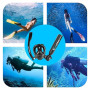 TUDIVING - Ensemble de Bouteilles de plongée sous-Marine de 0,5 L, Mini Bouteille d'oxygène avec compresseur, kit de plongée Por