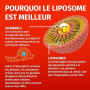 Green Naturals Vitamine C liposomale 1 250 mg – Acérola – 180 gélules | Technologie liposomale · À base d'acérola · Vegan · Cure