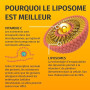 Green Naturals Vitamine C liposomale 1 250 mg – Acérola – 180 gélules | Technologie liposomale · À base d'acérola · Vegan · Cure