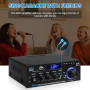Amplificateur HiFi 600W Mini Bluetooth AK45 Récepteur Stéréo Maison Voiture | Amplificateur numérique 2 canaux 12V/220V avec rad