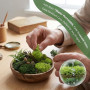 Luxoraiova Mousse artificielle 200 g pour travaux manuels et décoration, 2 couleurs vert foncé et vert clair, mousse artificiell