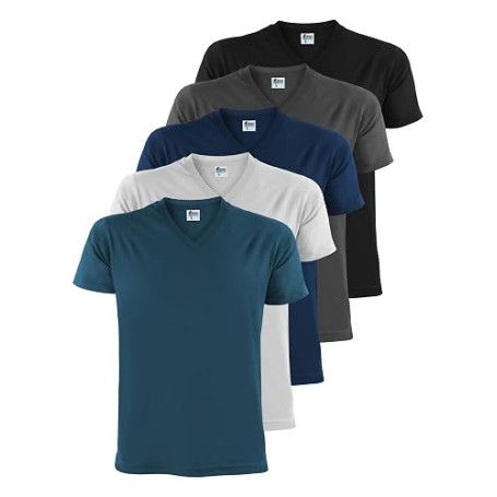 ALPIDEX Tee Shirt Homme S-5XL Lot de 5 Col V Manches Courtes Coton Basique | 175 g/m², Manches Courtes, Coupe Droite, OEKO-TEX,