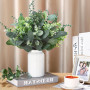 JOZMMZEOOA 30 Pièces Eucalyptus Artificiel,Eucalyptus Fleurs Séchées | Feuillage Artificiel D'Eucalyptus Artificielles Branche D
