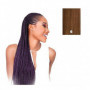 Extensions pour les Cheveux X-Pression Nº 6 19,99 €