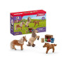 Schleich Horse Club | Famille de Mini-shetlands 41432 | 8 pièces | 3 poneys avec accessoires pour chevaux | cadeau pour filles e